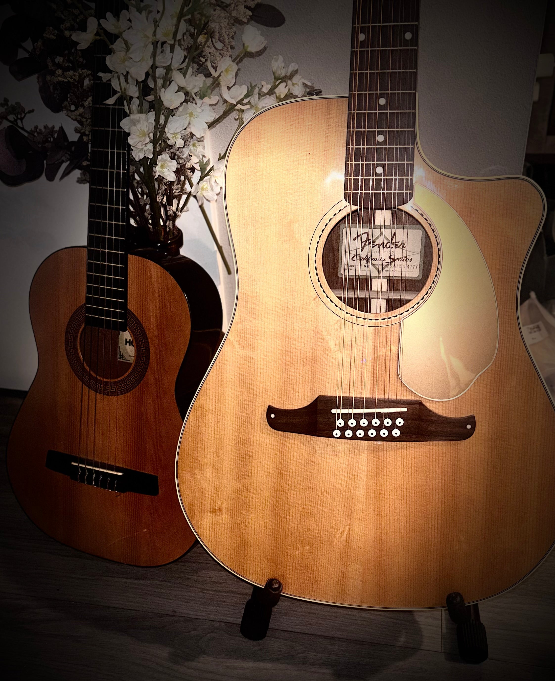 Music & Instruments