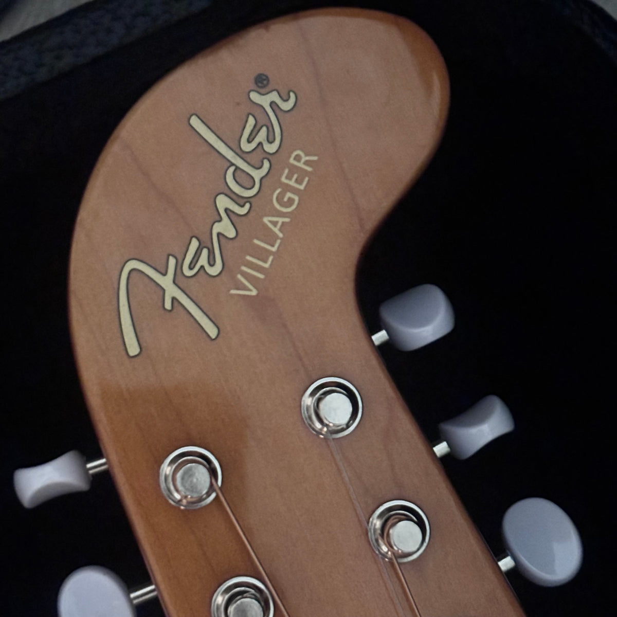Vintage Fender 12 String